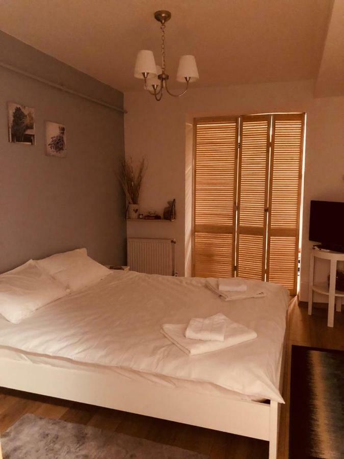 Fairytale Apartment Close To Bradu Ski Slope بويانا براسوف المظهر الخارجي الصورة