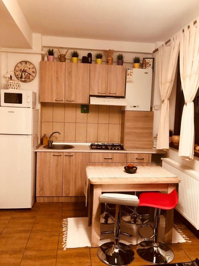 Fairytale Apartment Close To Bradu Ski Slope بويانا براسوف المظهر الخارجي الصورة