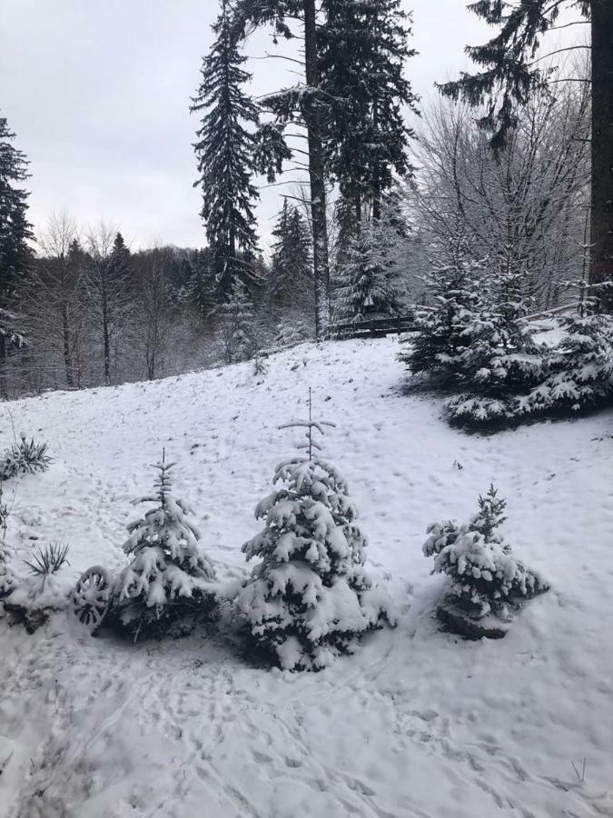 Fairytale Apartment Close To Bradu Ski Slope بويانا براسوف المظهر الخارجي الصورة