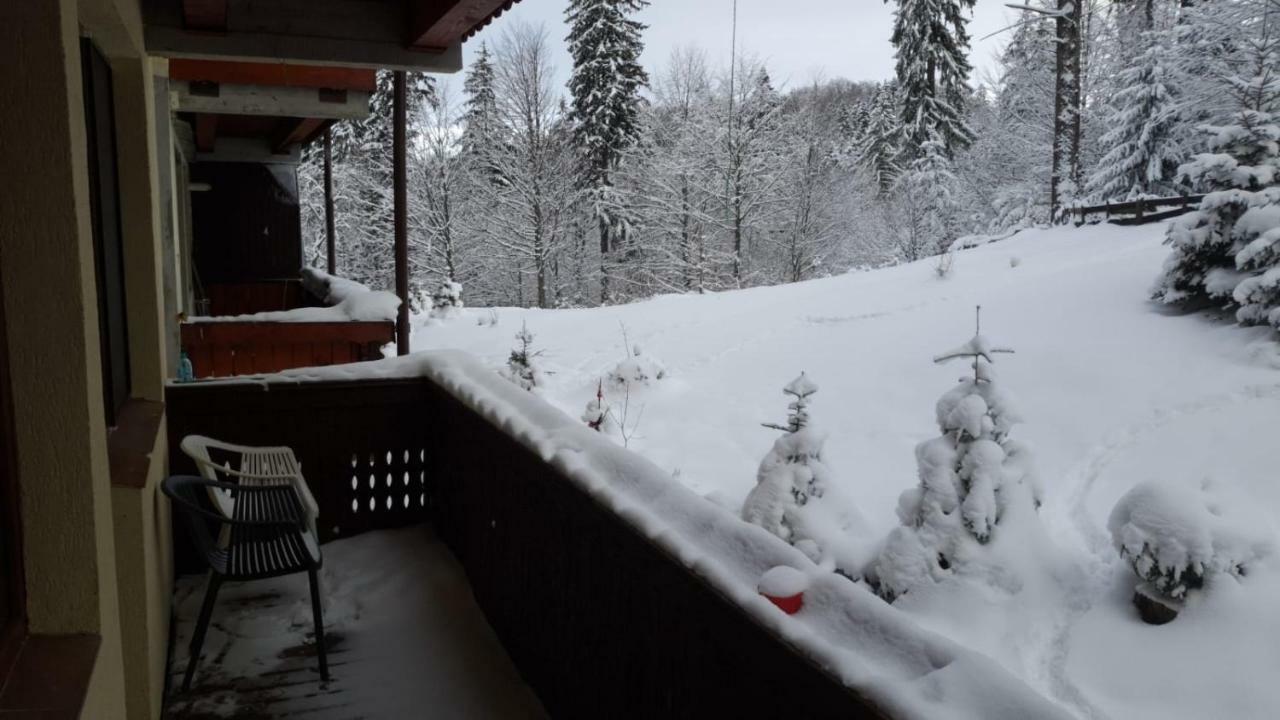 Fairytale Apartment Close To Bradu Ski Slope بويانا براسوف المظهر الخارجي الصورة