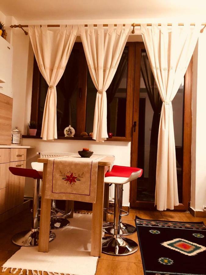 Fairytale Apartment Close To Bradu Ski Slope بويانا براسوف المظهر الخارجي الصورة