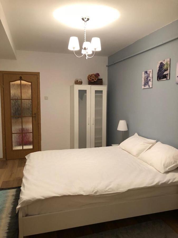 Fairytale Apartment Close To Bradu Ski Slope بويانا براسوف المظهر الخارجي الصورة