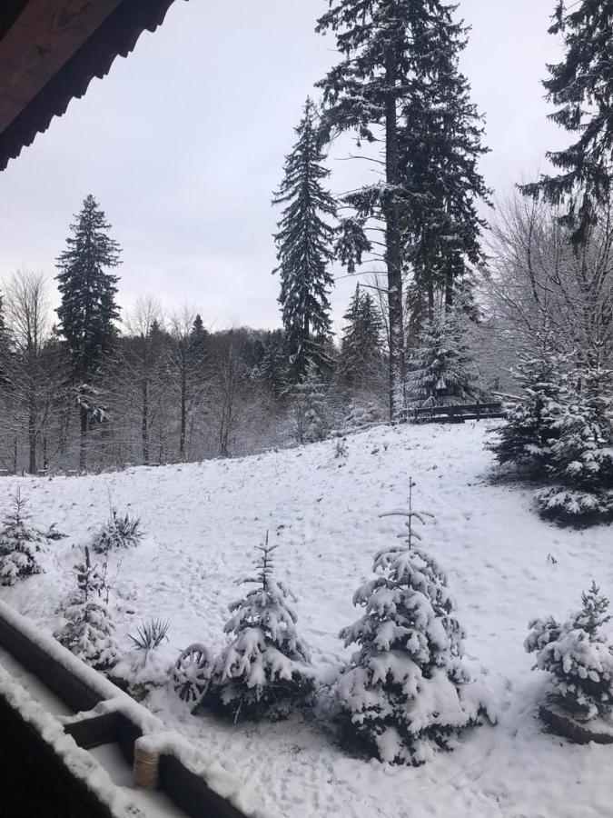 Fairytale Apartment Close To Bradu Ski Slope بويانا براسوف المظهر الخارجي الصورة
